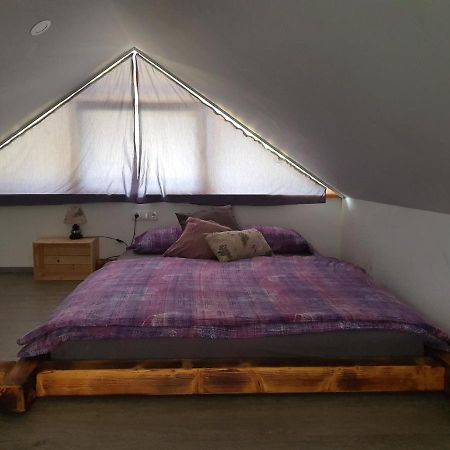 Apartmaji Daniel Kranjska Gora Exteriér fotografie